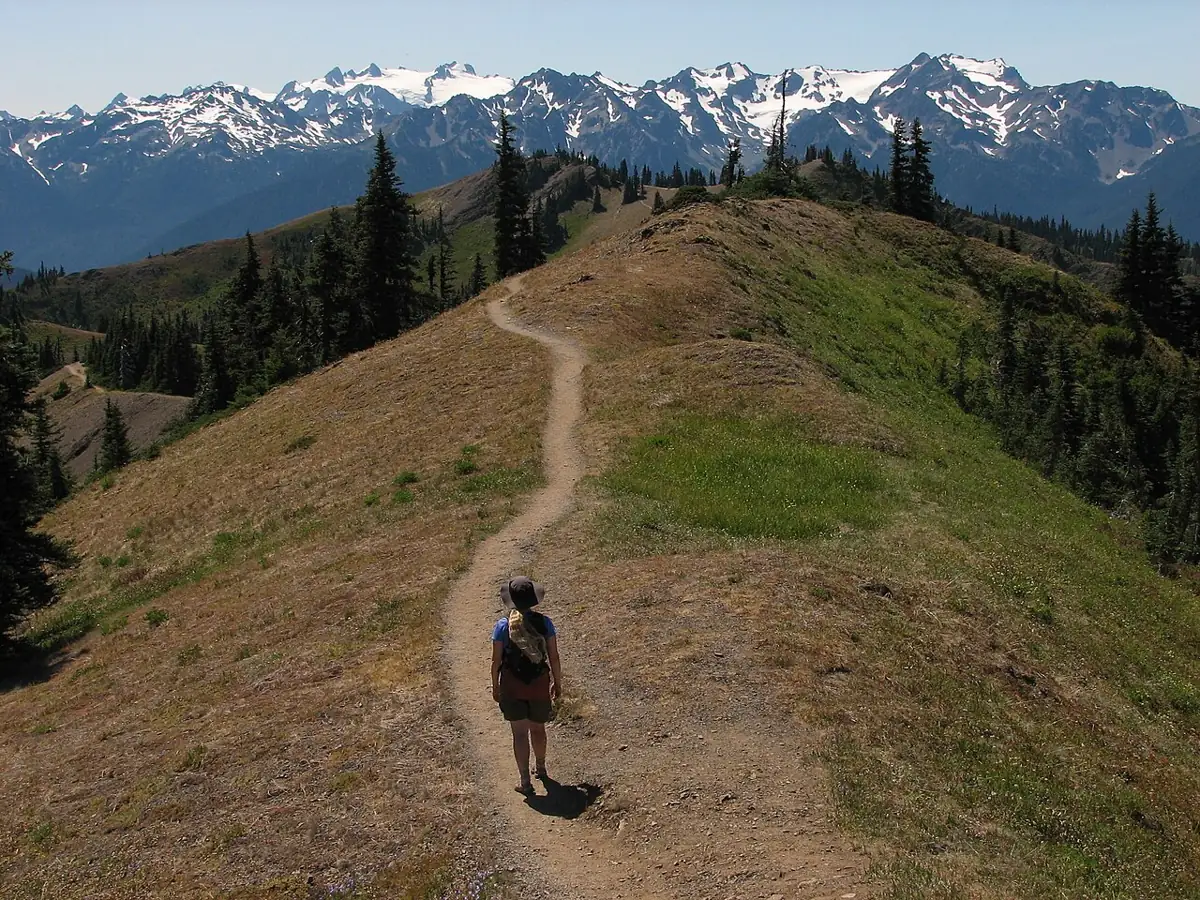 A lone hiker walks a narrow trail along a grassy ridge toward snowy mountains under a blue sky.